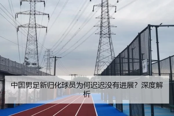 中国男足新归化球员为何迟迟没有进展？深度解析